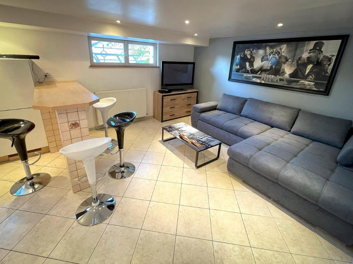 Villa 250m2 avec PISCINE chauffée&SPA&kota-grill&sauna Saint-Die-des-Vosges Exteriör bild
