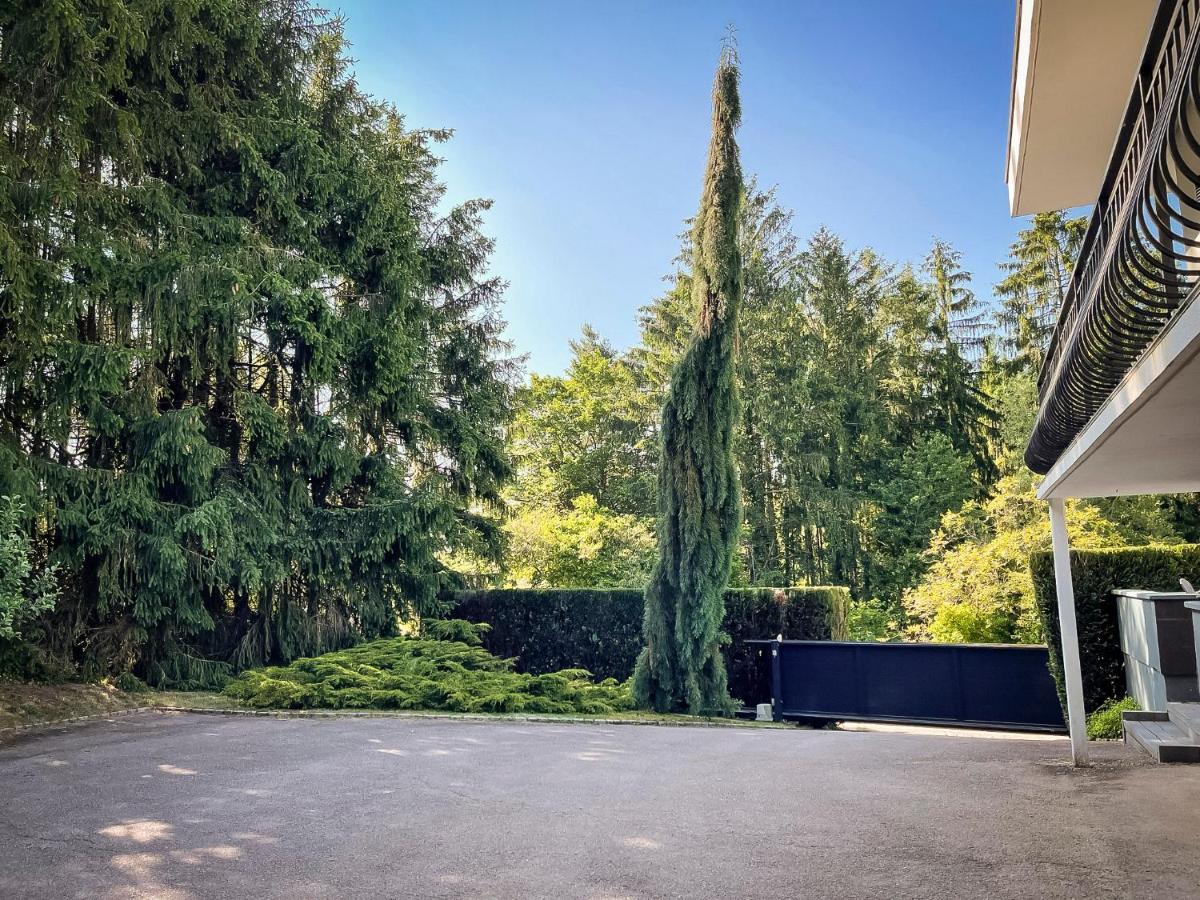 Villa 250m2 avec PISCINE chauffée&SPA&kota-grill&sauna Saint-Die-des-Vosges Exteriör bild